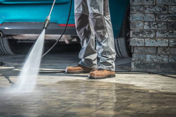 Best Pre-Holiday Cleaning  in Zephyrhills, FL