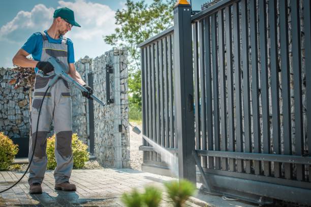 Best Driveway Pressure Washing  in Zephyrhills, FL