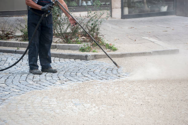 Best Sidewalk and Walkway Cleaning  in Zephyrhills, FL