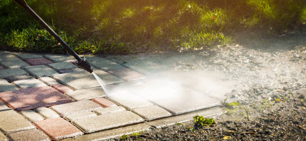 Best Dumpster Area Cleaning  in Zephyrhills, FL