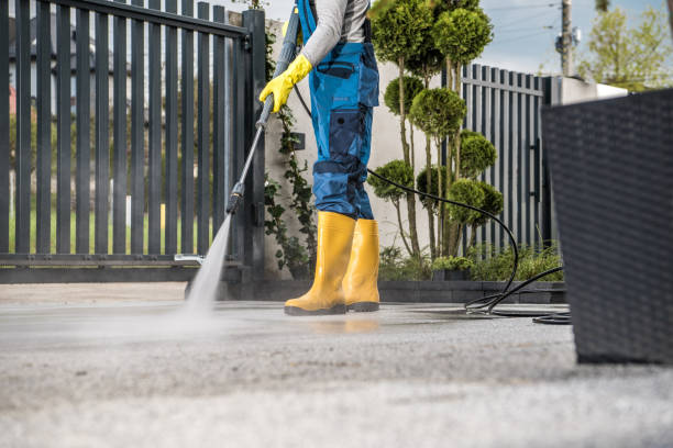 Best Animal Enclosure Cleaning  in Zephyrhills, FL