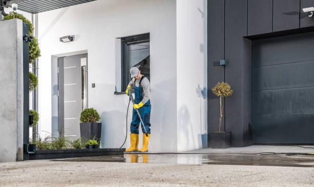 Best Gutter Cleaning  in Zephyrhills, FL